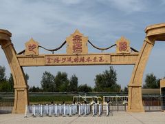 -金塔沙漠胡杨林景区