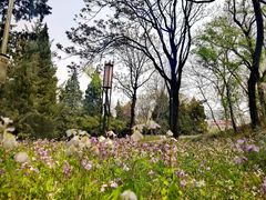 -元大都城垣遗址公园