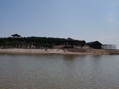 -南大港湿地风景区