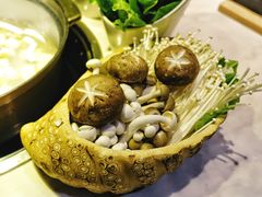 -狐狸爱上椰子鸡(滨江星光大道店)