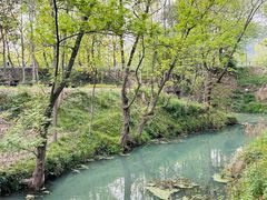 -小乡小镇·传承桐庐土菜·老板亲自烧的菜
