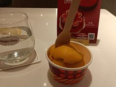 -哈根达斯(武汉天地店)