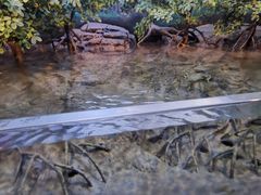 -上海海洋水族馆