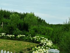 -嘉北郊野公园