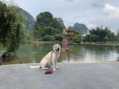 -靖西鹅泉风景区