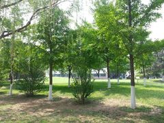 android_upload_pic-北京市海淀外国语实验学校