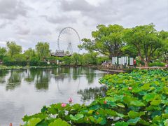 -无锡蠡湖国家湿地公园-蠡园