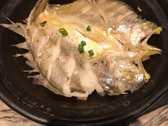 88秒小黄鱼-桐爷小馆(广渠门店)