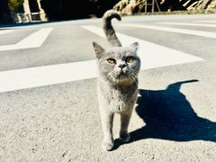 -大连天门山国家森林公园