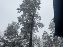 -敬亭山风景名胜区