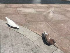-中粮·祥云小镇