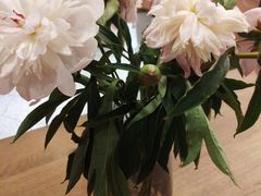 -Dal Cuore 达可芮冰淇淋(陕西北路店)