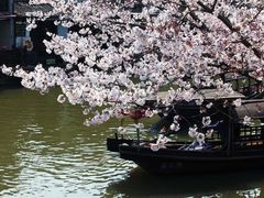 -西湖游船