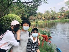 -恒大世纪梦幻城