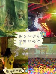 -恐龙探索乐园(磁器口店)