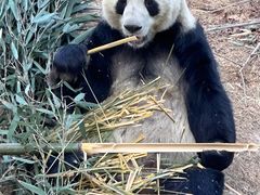 -青藏高原野生动物园