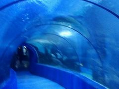 -左海海底世界