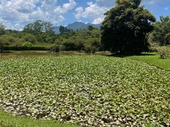 -中国科学院西双版纳热带植物园