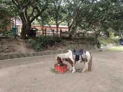 -泉州海丝野生动物世界