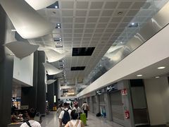 -米兰马尔彭萨国际机场