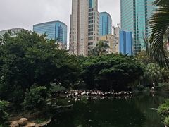 -九龙公园