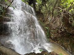 -南丹山森林王国