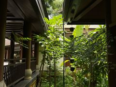 -西双版纳洲际度假酒店-曼霖轩中餐厅