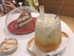 -滚猫咖啡·猫咖·猫友好撸猫(未来城店)