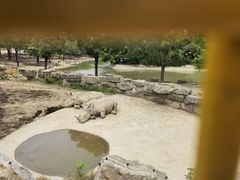 -上海野生动物园