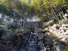 -灵隐飞来峰景区