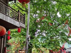 -雅安上里古镇