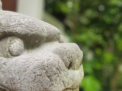 -金泽古镇