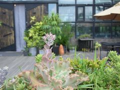 -北马山庄植趣咖啡