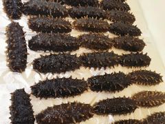 -宫品海参专卖店(黄浦老西门店)