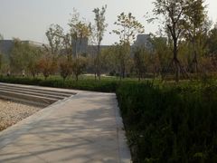 -河南财经政法大学(郑东校区)