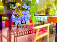 -花与咖啡馆(金星楼店)