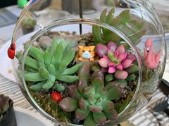 -森野花艺培训·企业团建活动沙龙