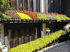 -桥边小楼·手工云南菜·古城观景小楼