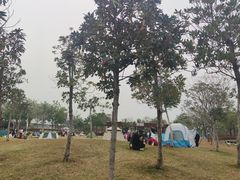 -宝安西湾红树林湿地公园