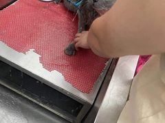 -宠颐生·恒爱宠物医院(静海店)