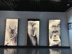 -中国湿地博物馆