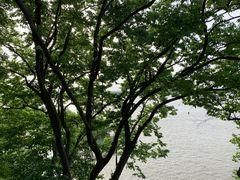 -幕燕滨江·燕子矶公园