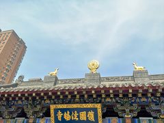 -护国法轮寺