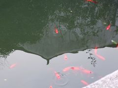 -苏州文旅花间堂·探花府酒店