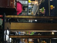 -陈三娃泡姜鸡(太白北路店)