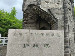 -上海佘山国家森林公园天马山园