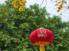-琅岐红光湖公园