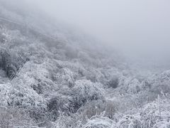 -沣峪口