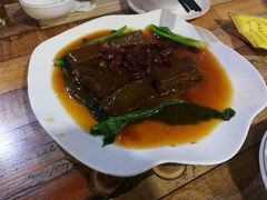 -东鸽皇(奥园·中环广场店)