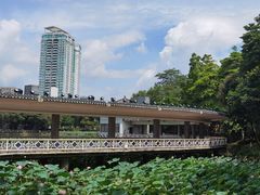 -荔湾湖公园